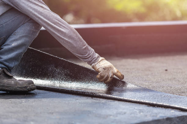 Professional Interior Drainage System technician working in Highland, MD